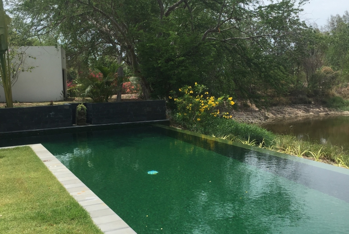 Luxury private estate with lake for sale